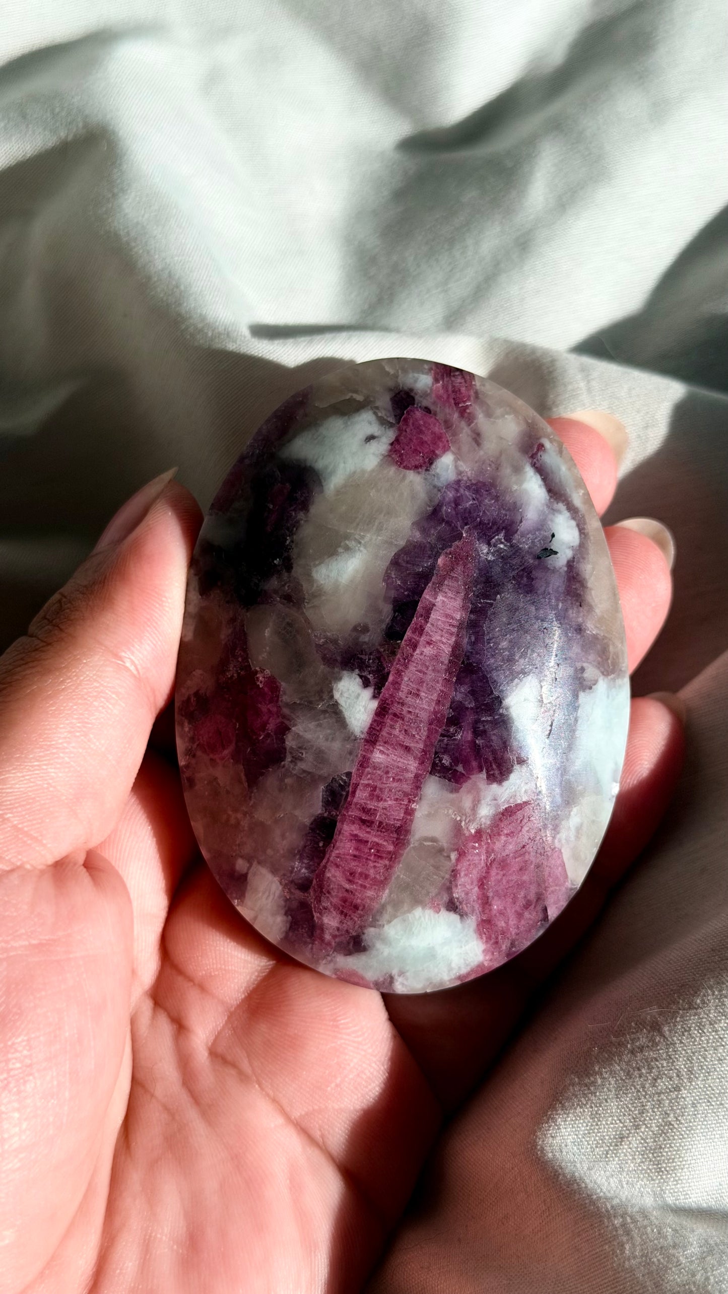 Unicorn Stone Palm