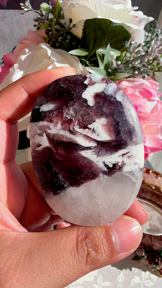 Unicorn Stone Palm