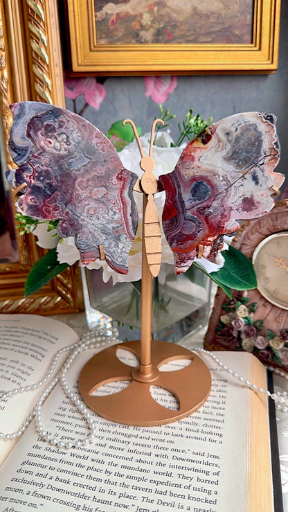 Pink Blue Lace Agate Wings on stand