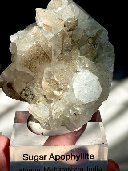 Sugar Apophyllite