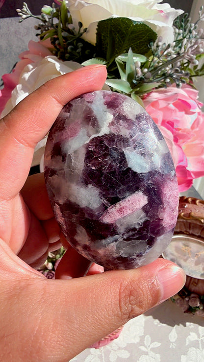 Unicorn Stone Palm
