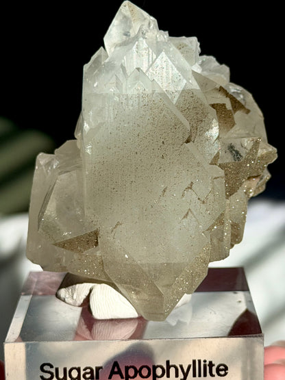 Sugar Apophyllite