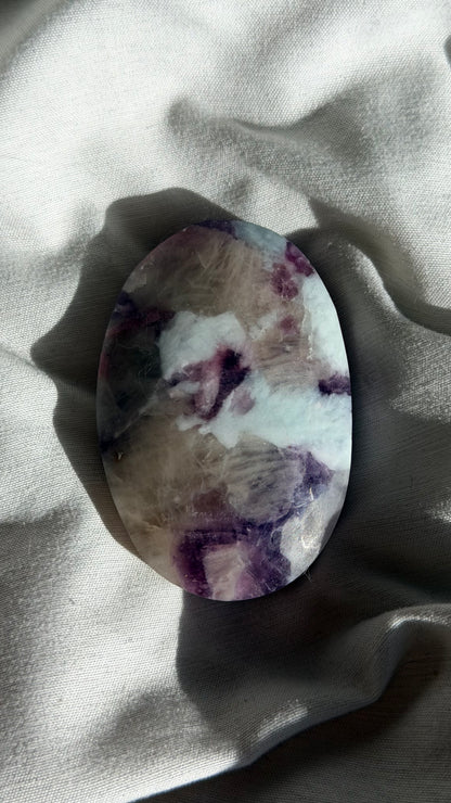 Unicorn Stone Palm