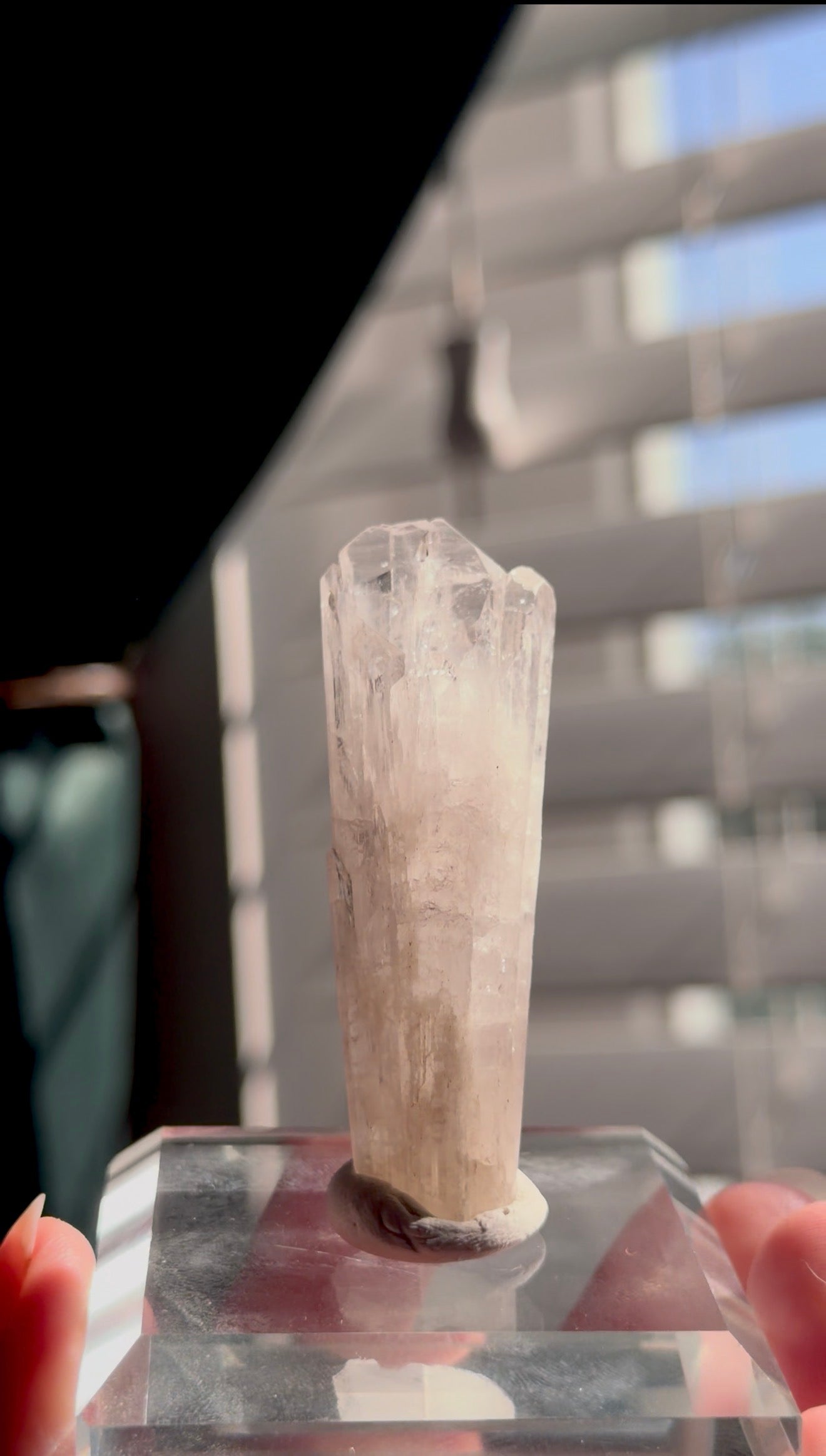 Pink Danburite