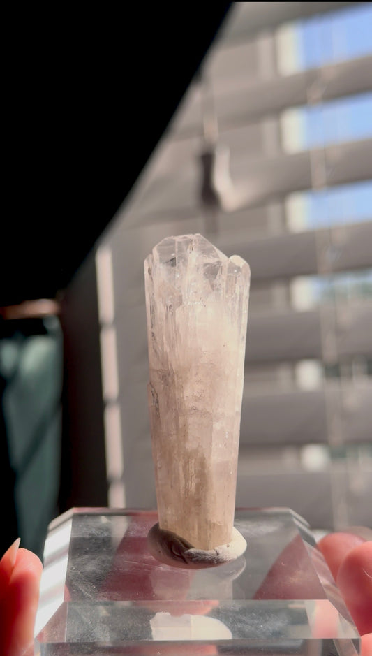 Pink Danburite