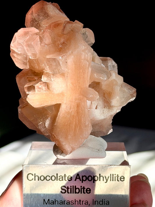 Chocolate Apophyllite Stilbite