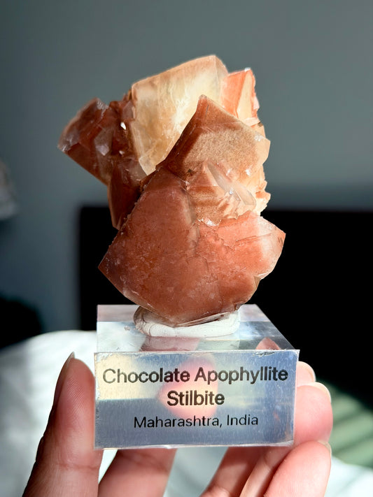 Chocolate Apophyllite Stilbite
