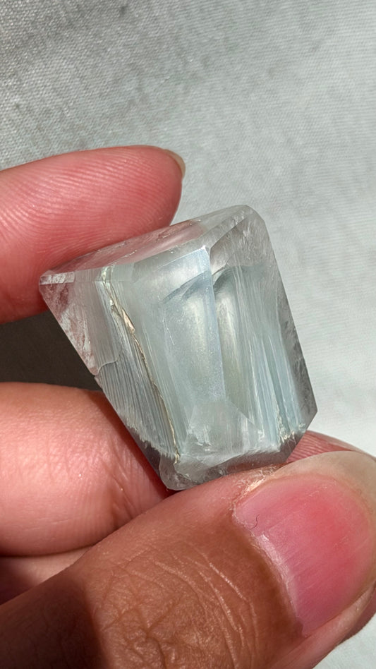Baby Blue Tara