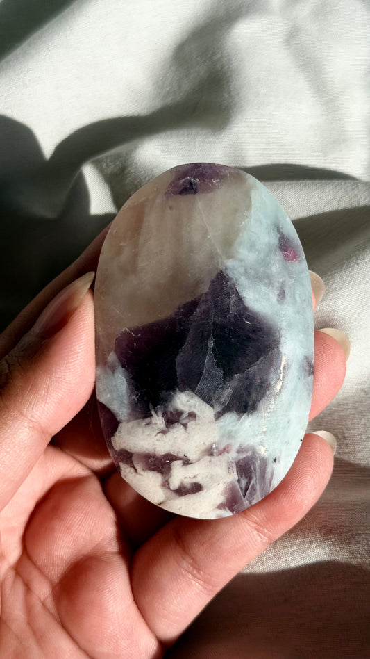Unicorn Stone Palm