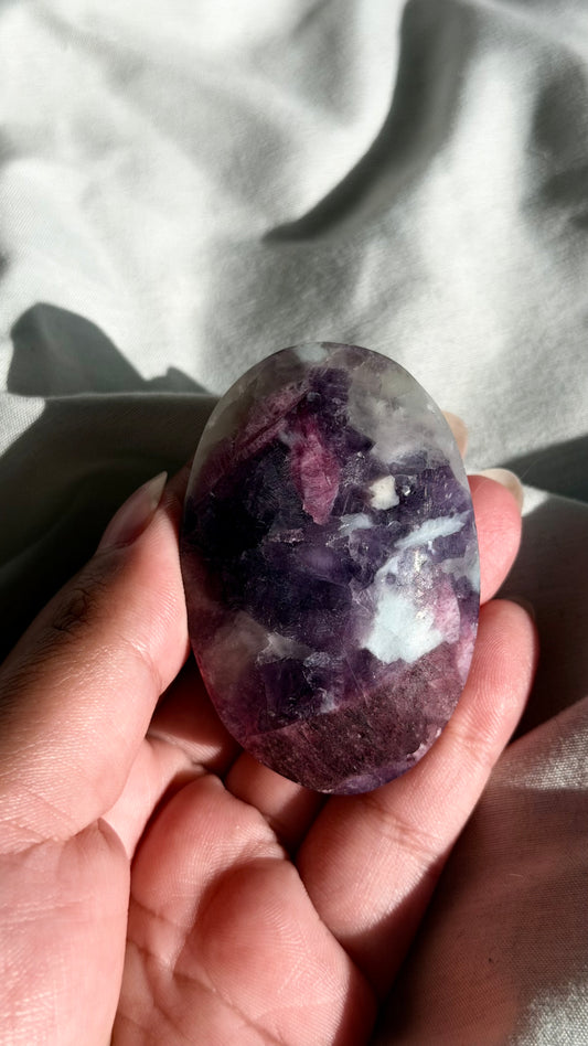 Unicorn Stone Palm