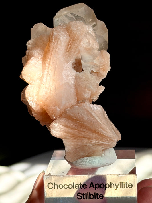 Chocolate Apophyllite Stilbite