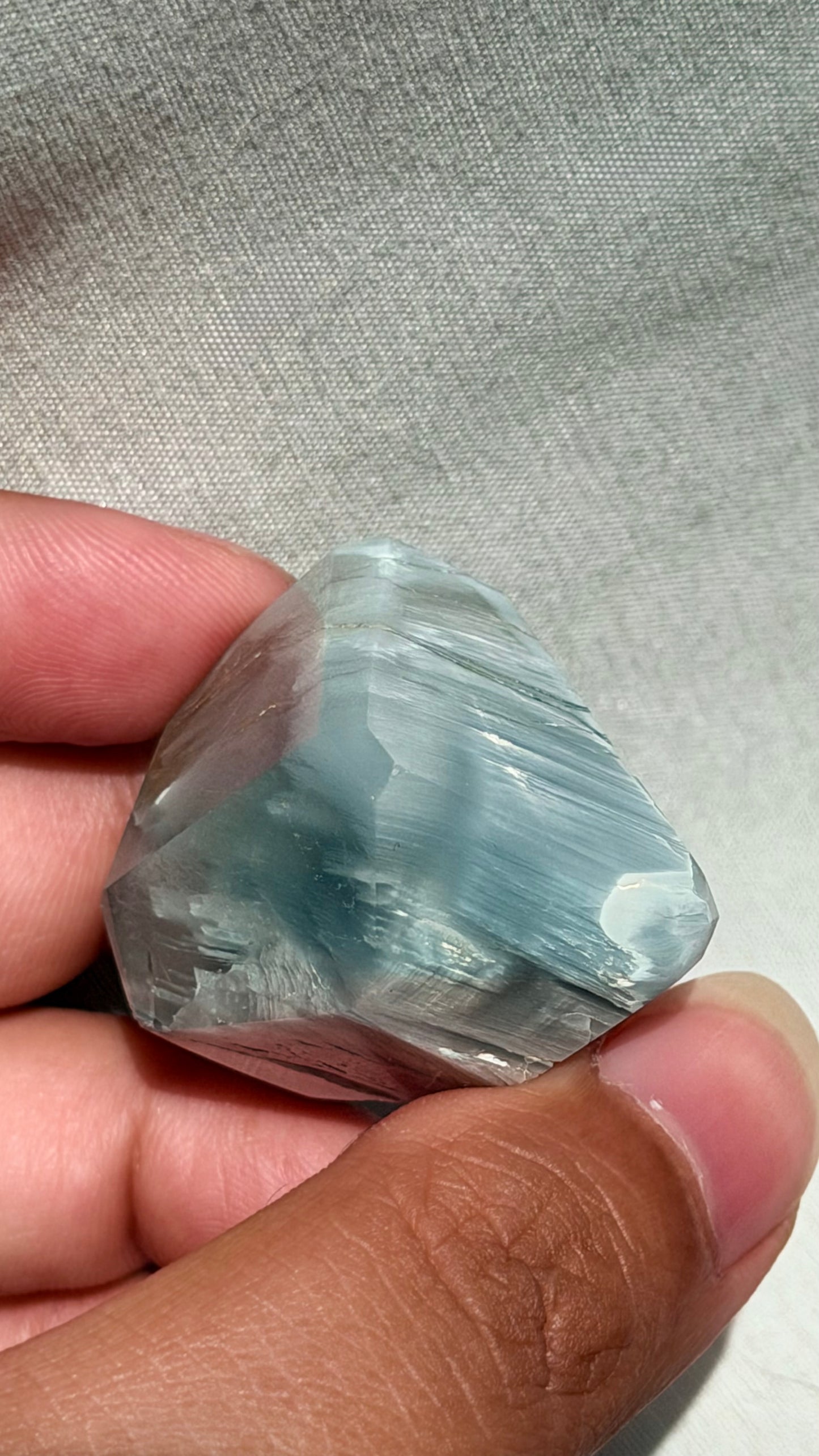 Baby Blue Tara