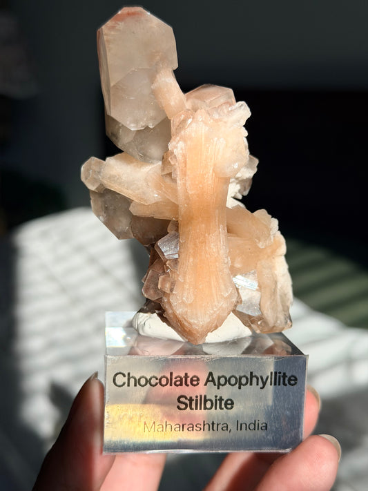 Chocolate Apophyllite Stilbite
