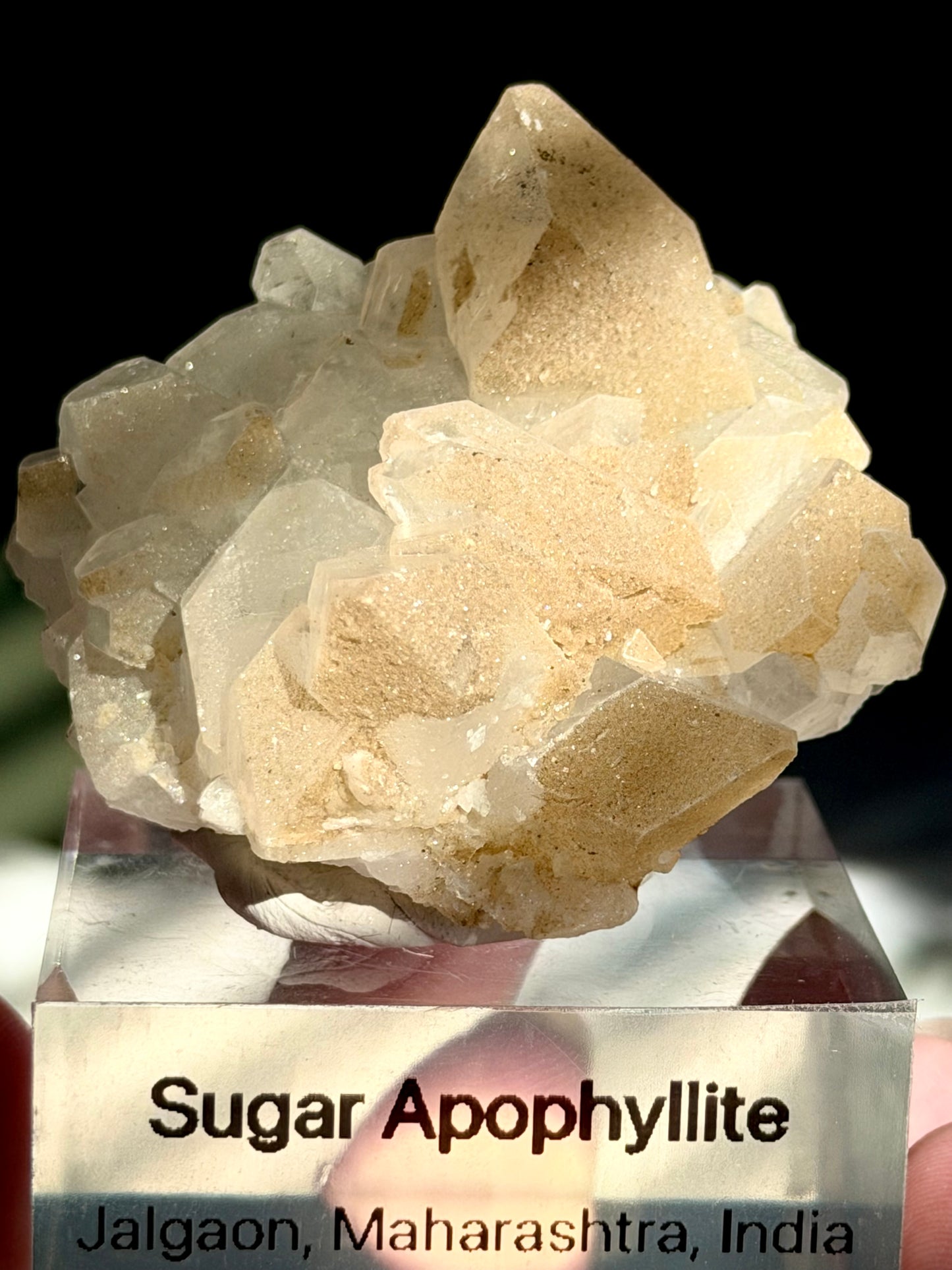 Sugar Apophyllite