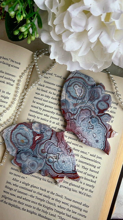 Pink Blue Lace Agate Wings on stand