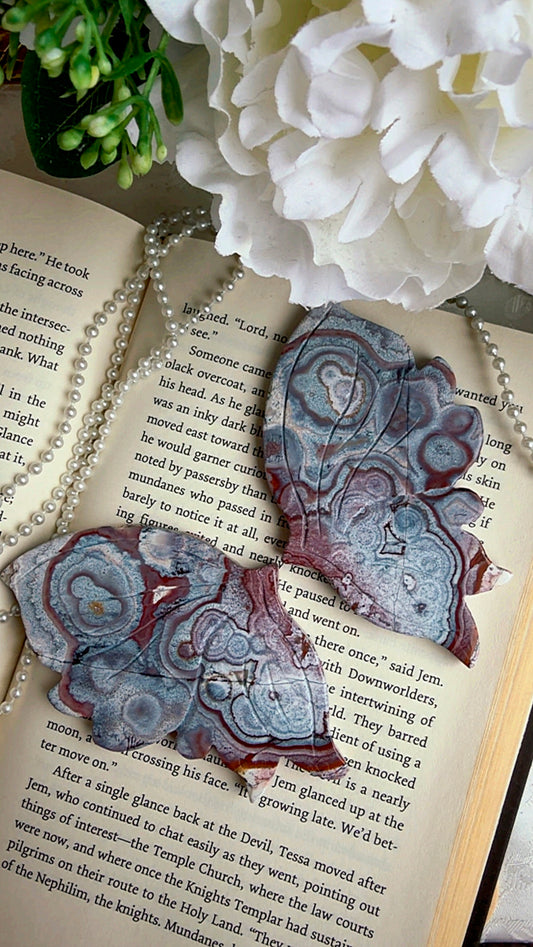 Pink Blue Lace Agate Wings on stand