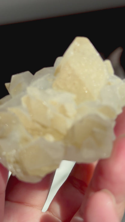 Sugar Apophyllite