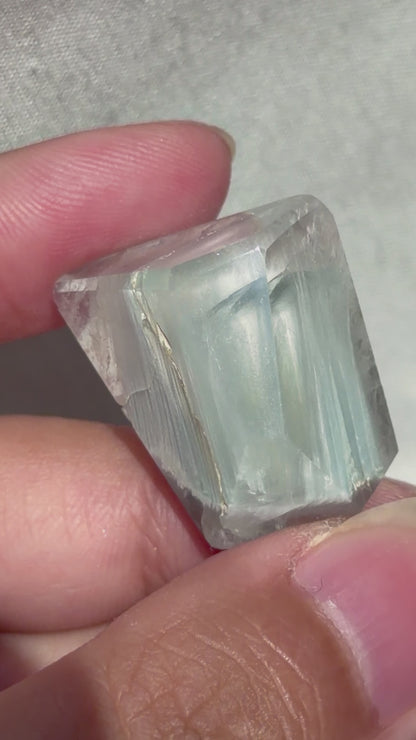 Baby Blue Tara
