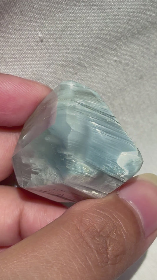 Baby Blue Tara