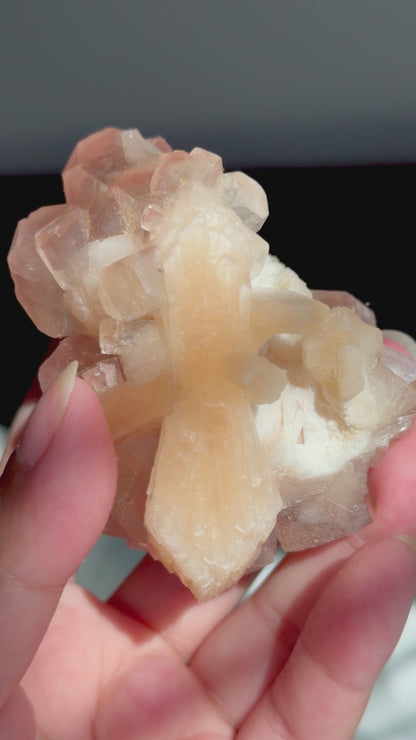 Chocolate Apophyllite Stilbite