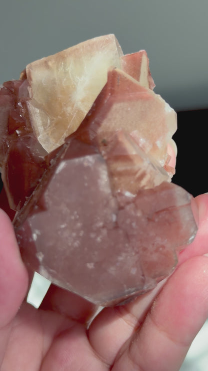 Chocolate Apophyllite Stilbite