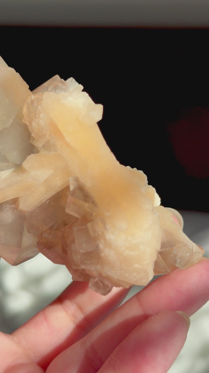 Chocolate Apophyllite Stilbite