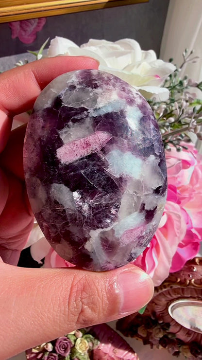 Unicorn Stone Palm